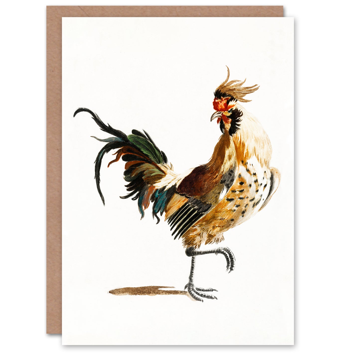 Johan Teyler Art Card A Rooster Watercolour Painting