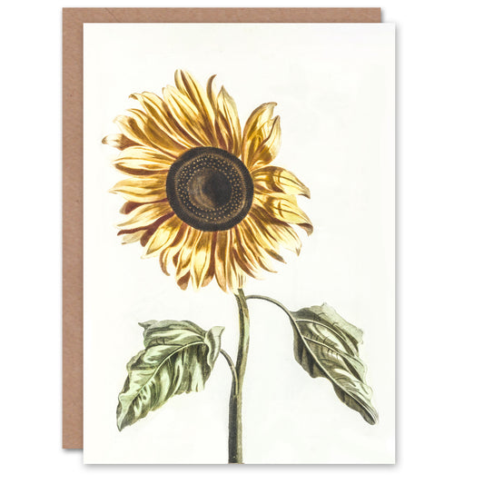 Johan Teyler Art Card Sunflower Vintage Flower Painting