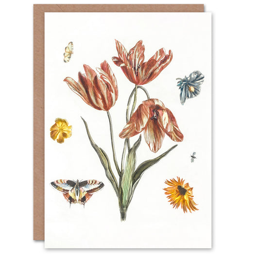 Johan Teyler Art Card Flowers Butterflies And A Fly