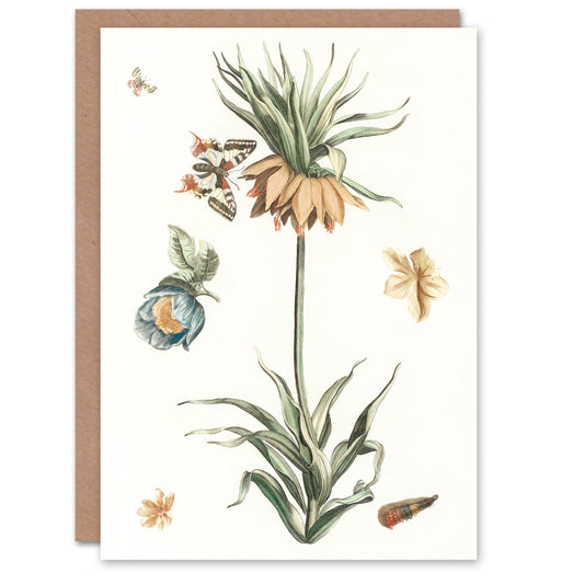 Johan Teyler Art Card Keizerskroon Tulip and Butterfly