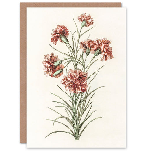 Johan Teyler Art Card Six Carnations Vintage Illustration