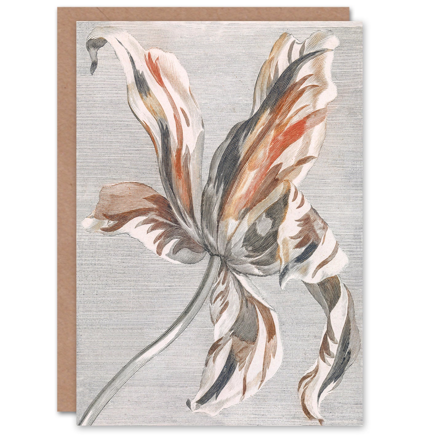 Johan Teyler Art Card Tulip Flower Bloom Floral Painting