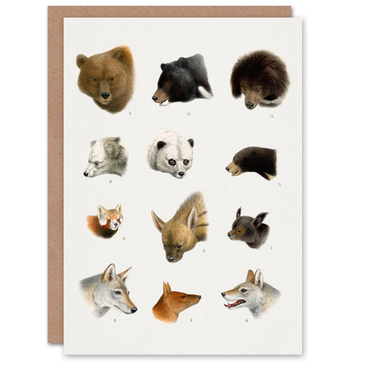Lydekker Art Card Small and Large Animals Vintage illustration
