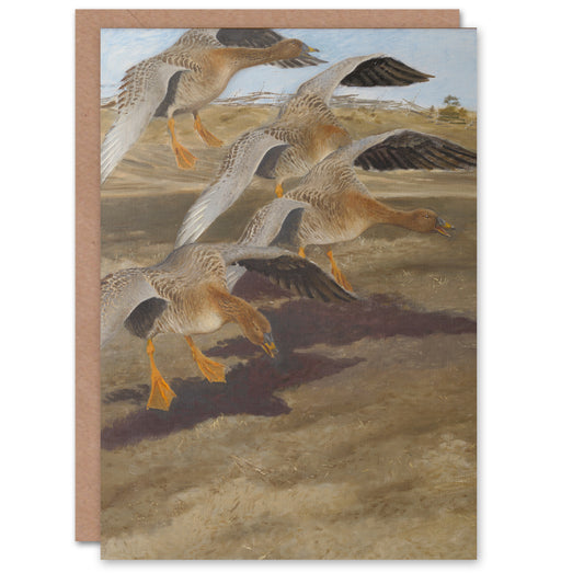 Bruno Liljefors Art Card Wild Geese Animal Painting