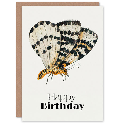Jan Van Kessel Birthday Card Study of Spotted Butterfly