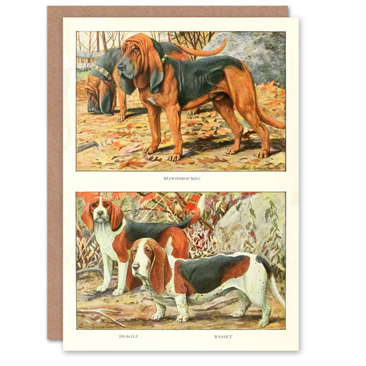 The Book of Dogs Art Card Bloodhound Beagle and Basset Hound