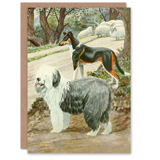 The Book of Dogs Art Card Sheepdog and Smooth Collie Breeds