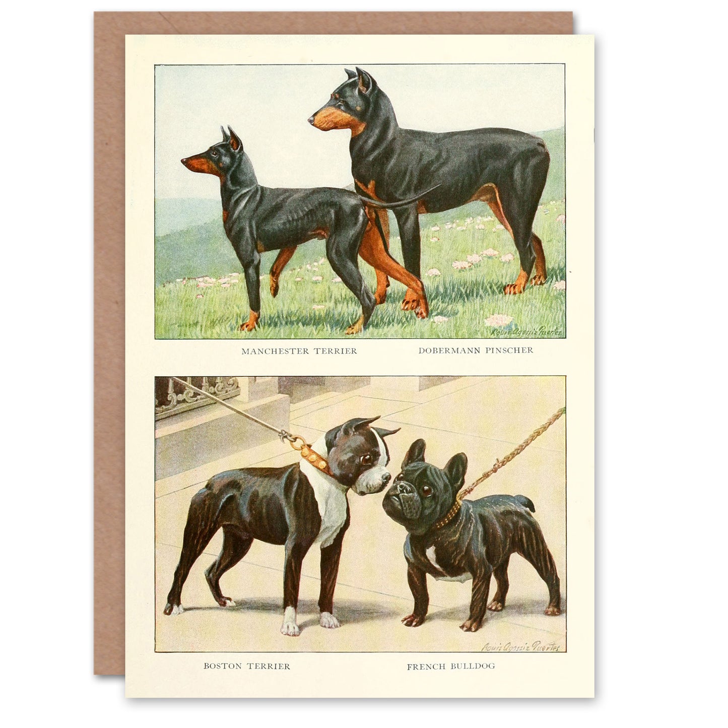 The Book of Dogs Art Card Doberman Pinscher and French Bulldog