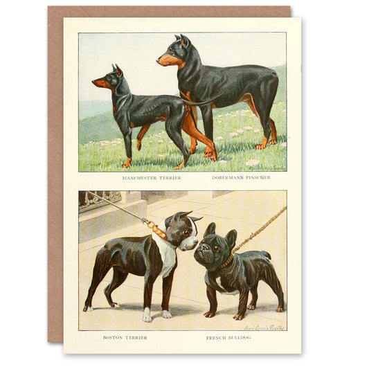 The Book of Dogs Art Card Doberman Pinscher and French Bulldog