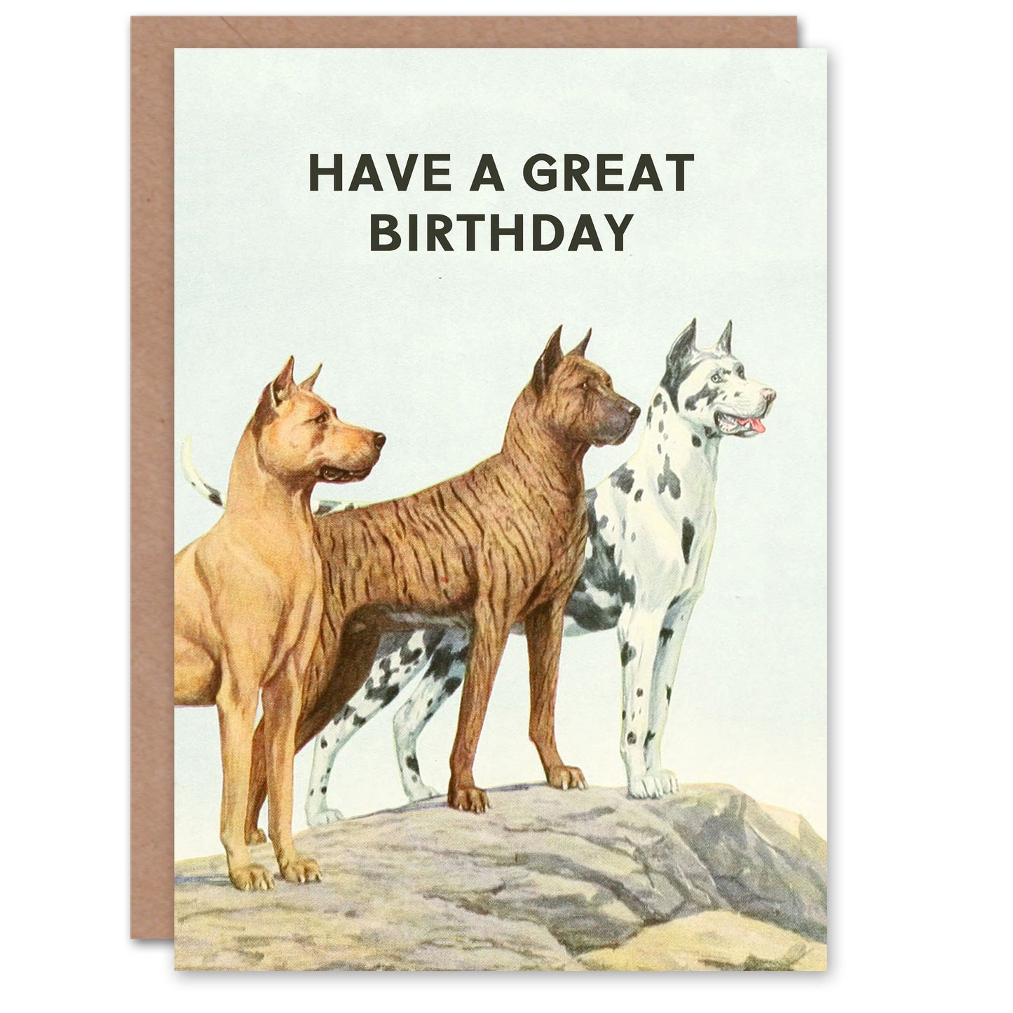 The Book of Dogs Birthday Card Great Danes Vintage Illustration