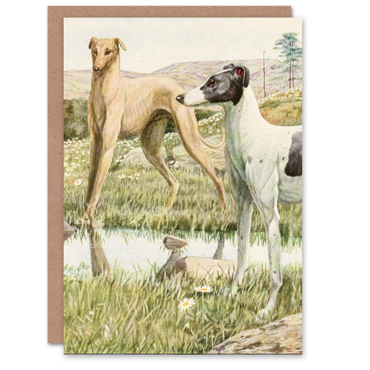 The Book of Dogs Art Card Greyhounds Vintage Illustration