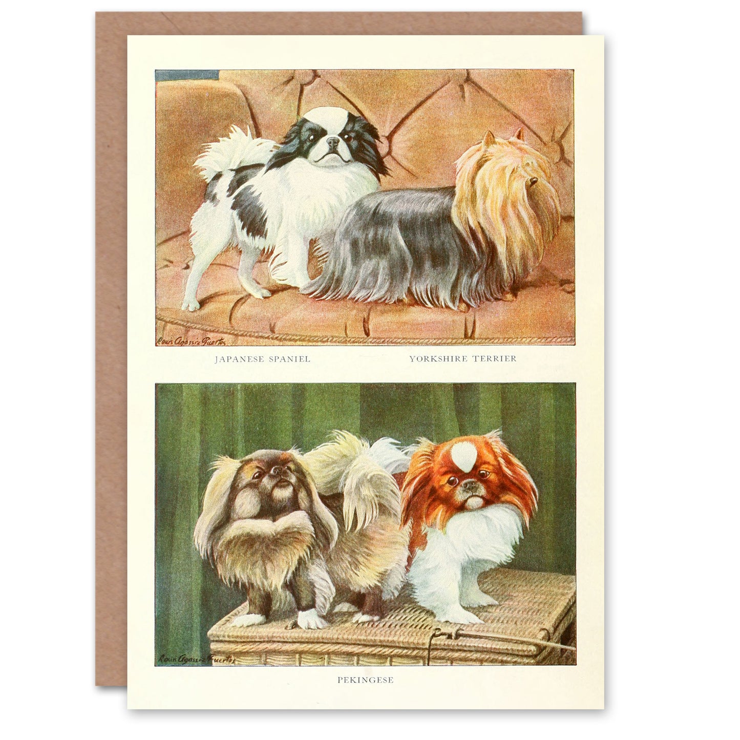Book of Dogs Art Card Japanese Chin Yorkshire Terrier Pekingese