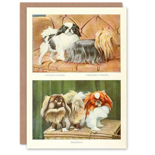 Book of Dogs Art Card Japanese Chin Yorkshire Terrier Pekingese