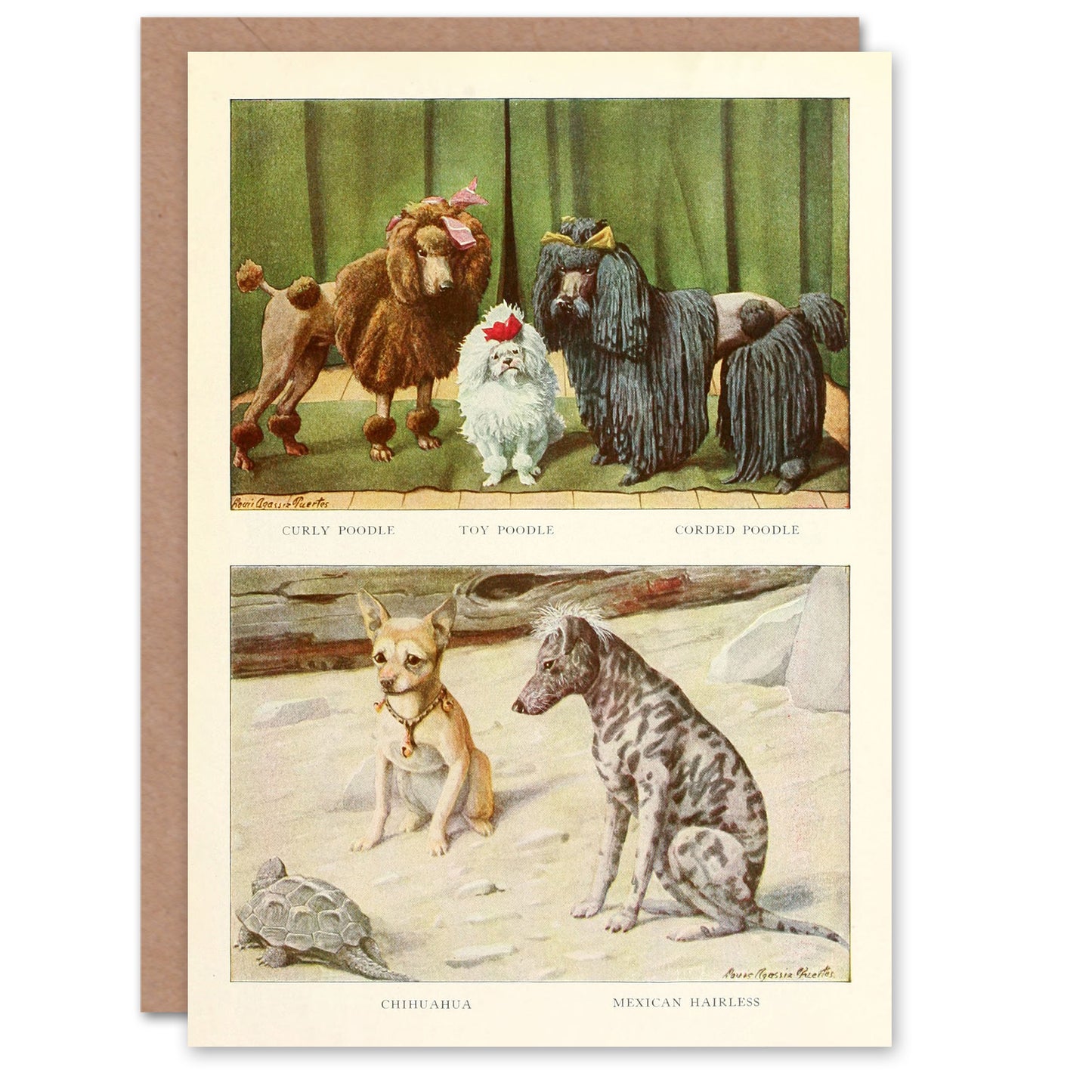 Book of Dogs Art Card Poodles Chihuahua and Mexican Hairless Dog