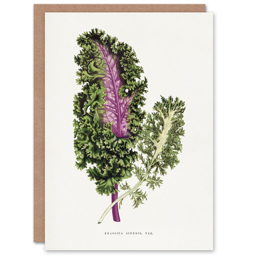 AF Lydon Benjamin Fawcett Green Wild Cabbage Leaf Art Greeting Card