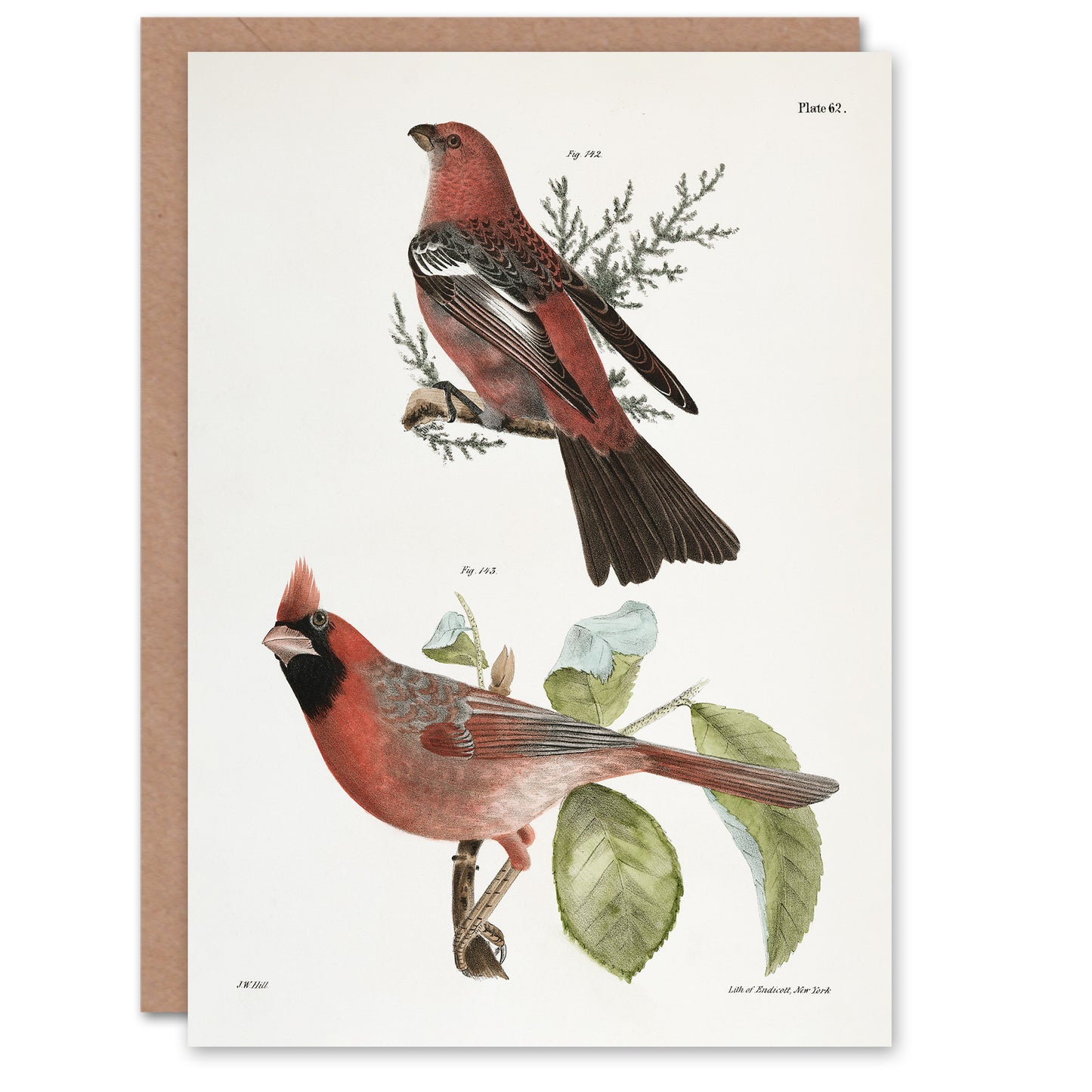 James De Kay Pine Bulfinch and Cardinal Grosbeak Art Greeting Card