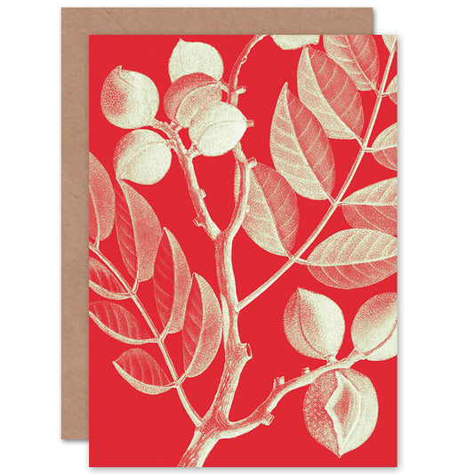Red Xray Style Plant Tree Branch Botanical Greetings Card