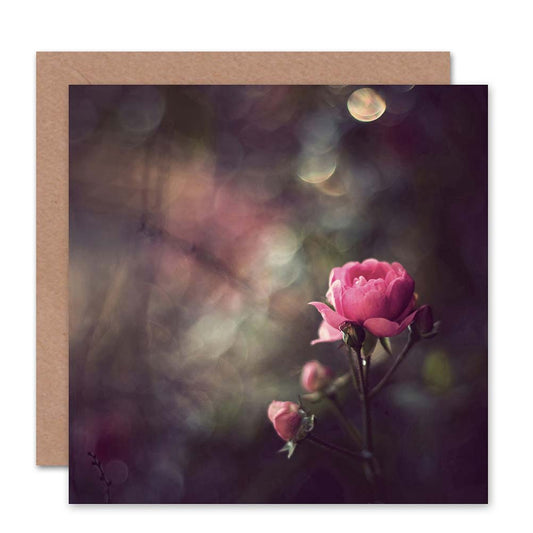 Bokeh Rose Flower Photograph Pink Spring Greeting Card