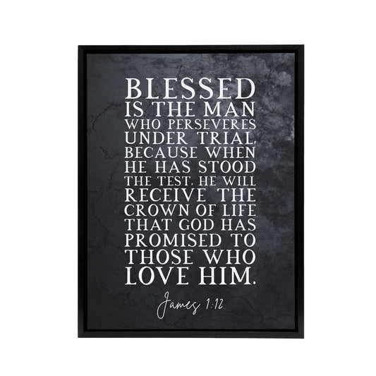 James 1 12 Persevere Stood The Test Bible Quote Black Framed Canvas Art