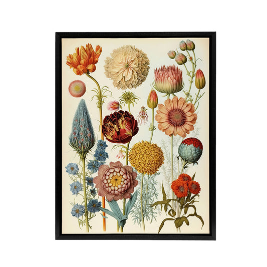 Vintage Botanical Flowers Haeckel Inspired Black Framed Canvas Art Print