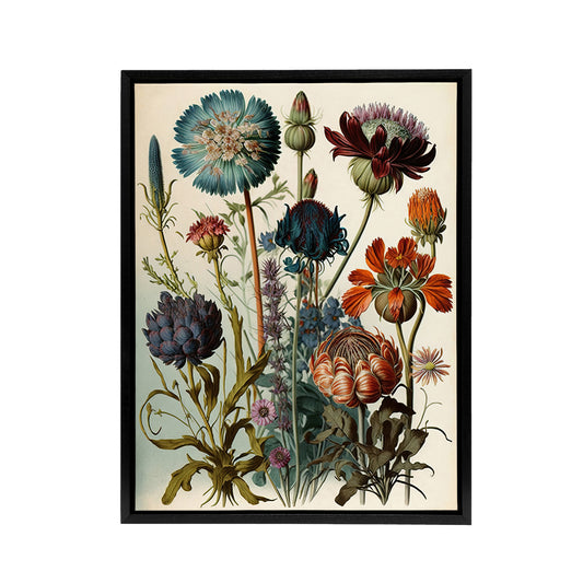 Ernst Haeckel Inspired Vintage Botanical Black Framed Canvas Art Print