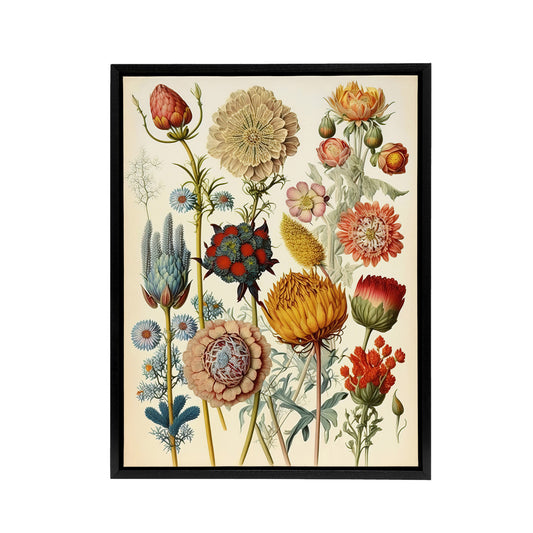 Ernst Haeckel Inspired Vintage Floral Black Framed Canvas Wall Art Print
