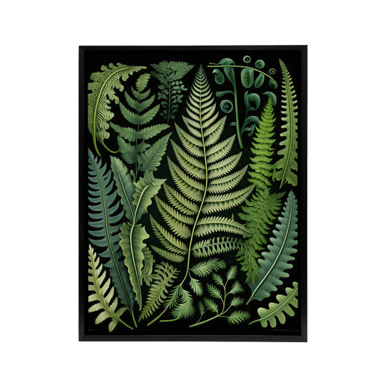 Ernst Haeckel Inspired Fern Leaf Fronds Black Framed Canvas Wall Art Print