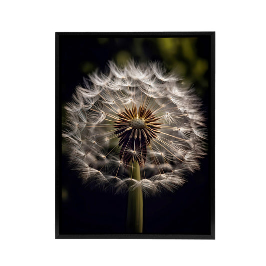 Dandelion Flower Pappus Macro Black Framed Canvas Wall Art Print