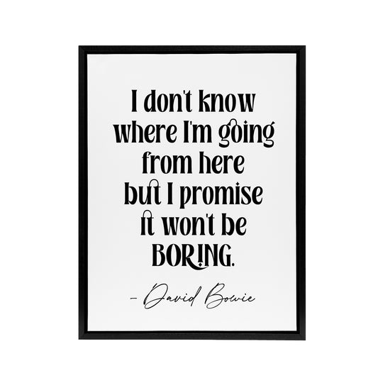 Don't Know Where I'm Going Promise Won't Be Boring Framed Canvas Art