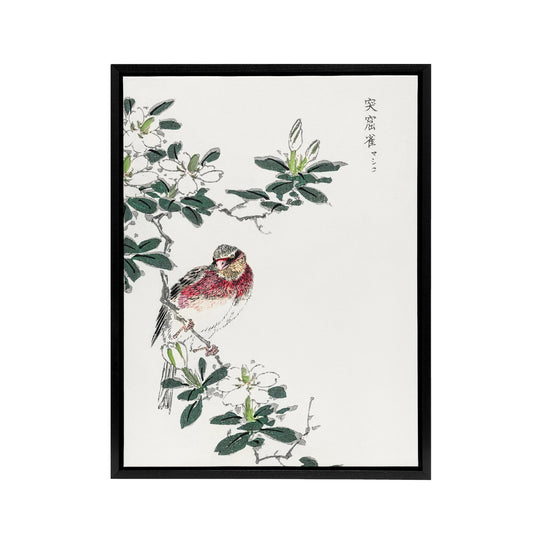 Long Tailed Rosefinch Japanese Framed Canvas Wall Art Print Numata Kashu