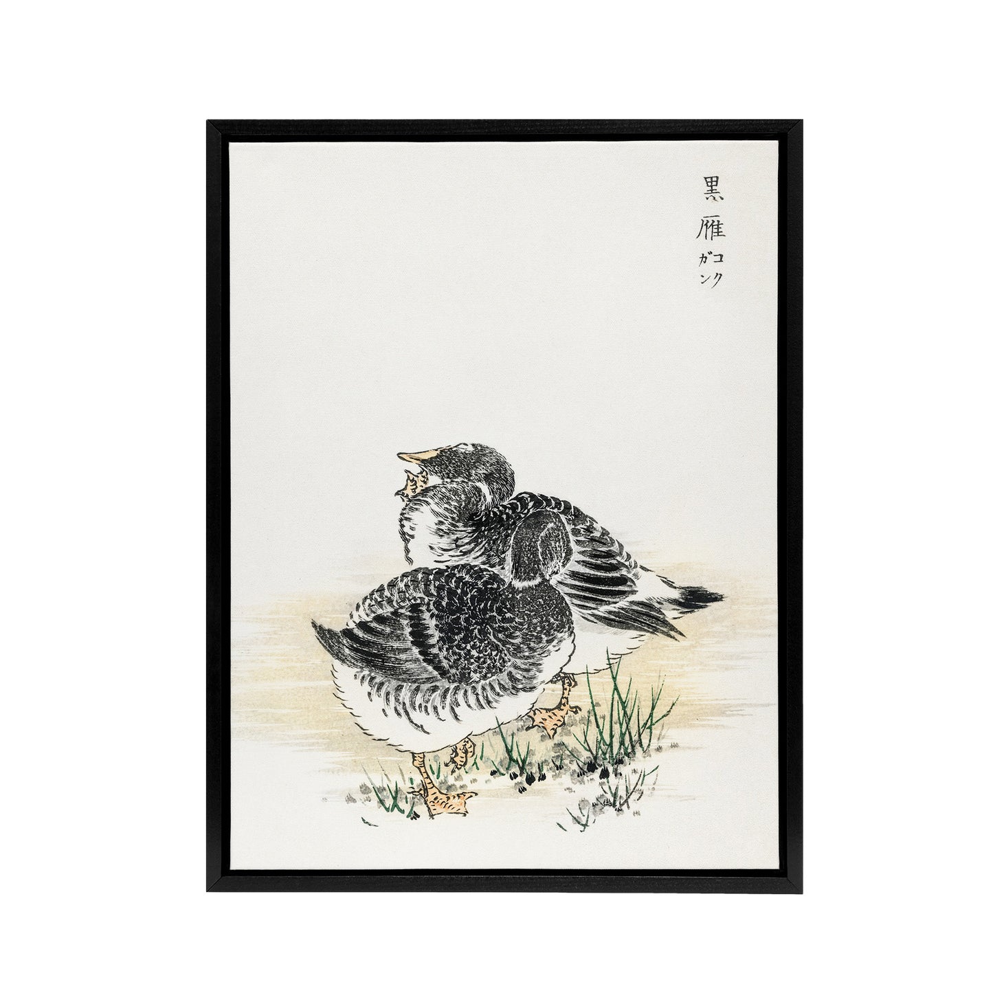 Black Brant Geese Pictorial Birds Framed Canvas Wall Art Print Kashu