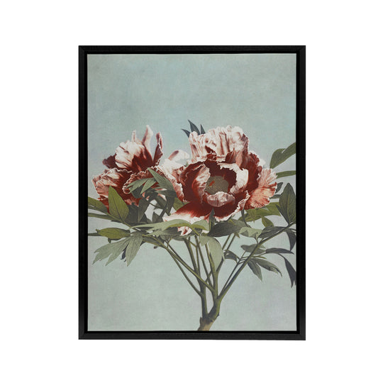 Tree Peonies Pink Flower Blooms Framed Canvas Wall Art Print Kazumasa