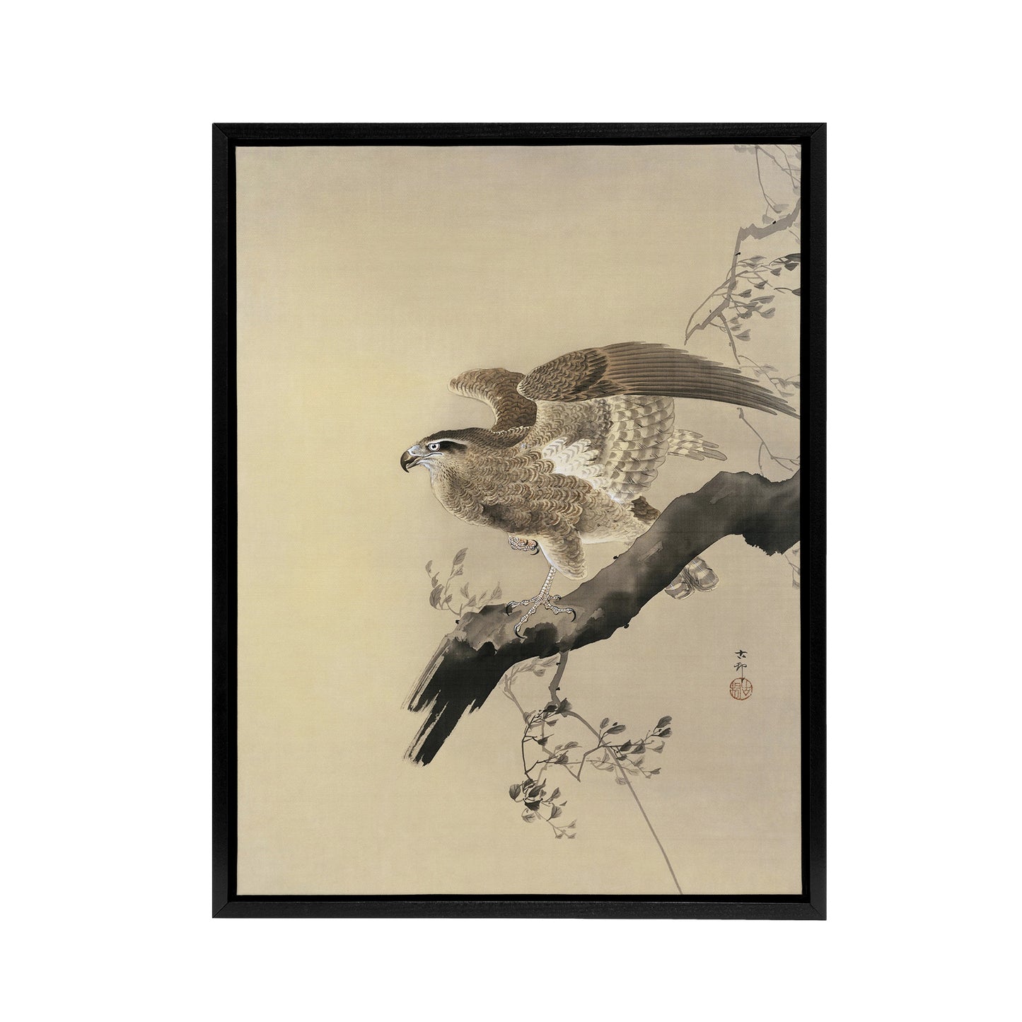 Hawk Bird of Prey on Tree Branch Framed Canvas Wall Art Print Koson