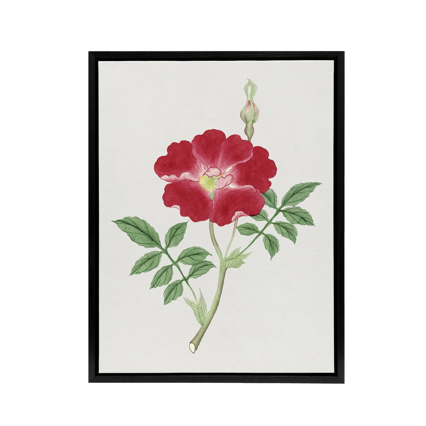 Red Flower Framed Canvas Wall Art Print Vintage Japanese Botanical