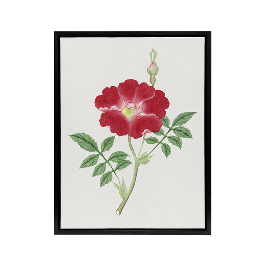 Red Flower Framed Canvas Wall Art Print Vintage Japanese Botanical