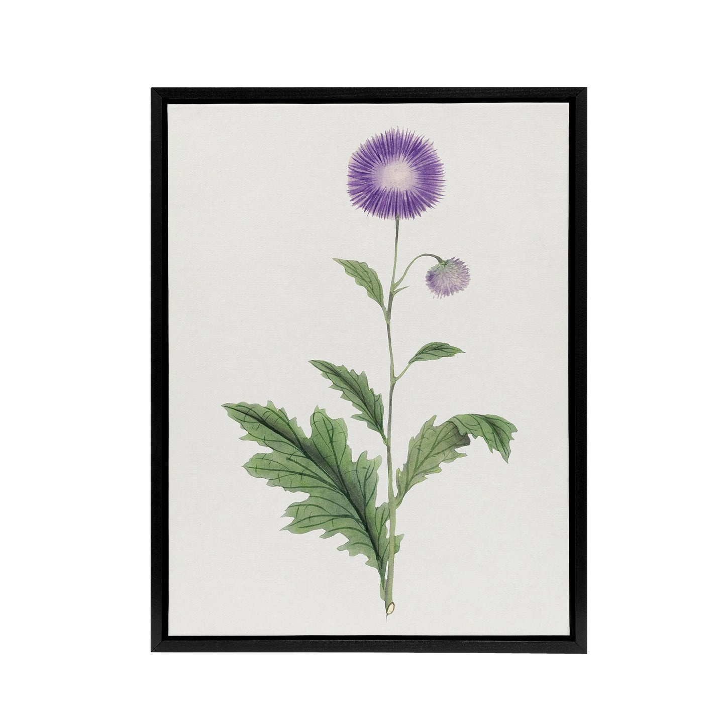 Thistle Flower Framed Canvas Wall Art Print Vintage Japanese Botanical