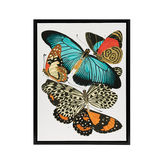 Vintage Butterflies Blue and Orange Framed Canvas Wall Art Print Seguy