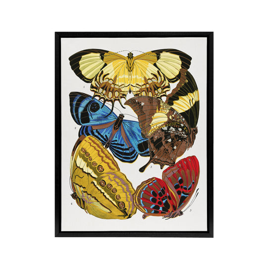 Vintage Butterflies Yellow Red Blue Framed Canvas Wall Art Print Seguy