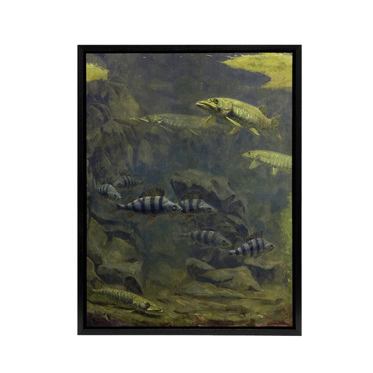 Pike and Perch Aquarium Framed Canvas Wall Art Print Gerrit Dijsselhof