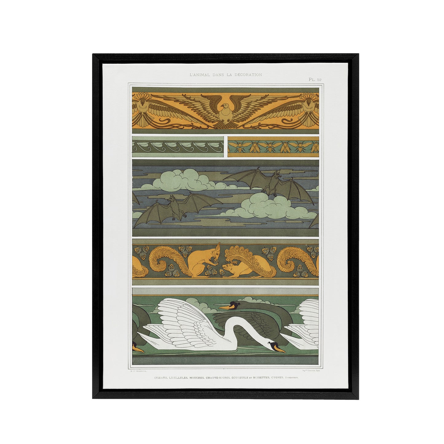 Birds Bats Squirrels Swans Framed Canvas Wall Art Print Verneuil
