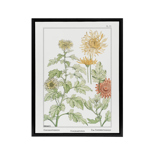 Chrysanthemum Framed Canvas Wall Art Print Vintage Floral Verneuil