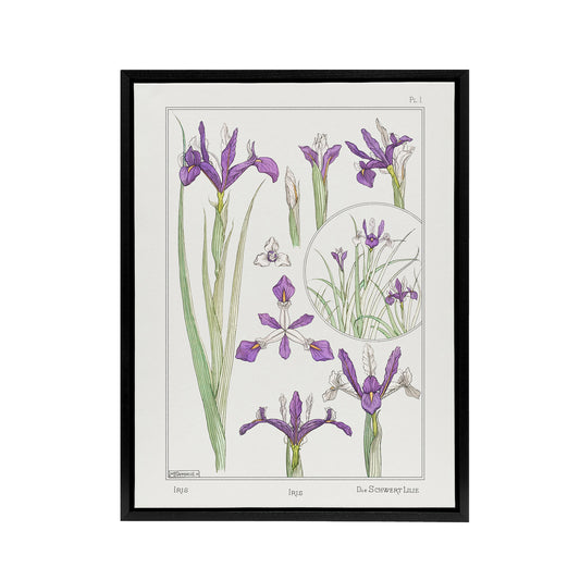 Purple Iris Flower Framed Canvas Wall Art Print Vintage Floral Verneuil