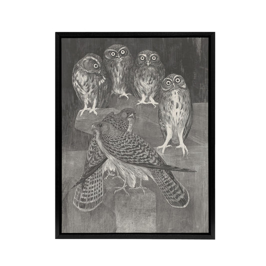 Four Owls and Two Kestrels Framed Canvas Wall Art Print van Hoytema