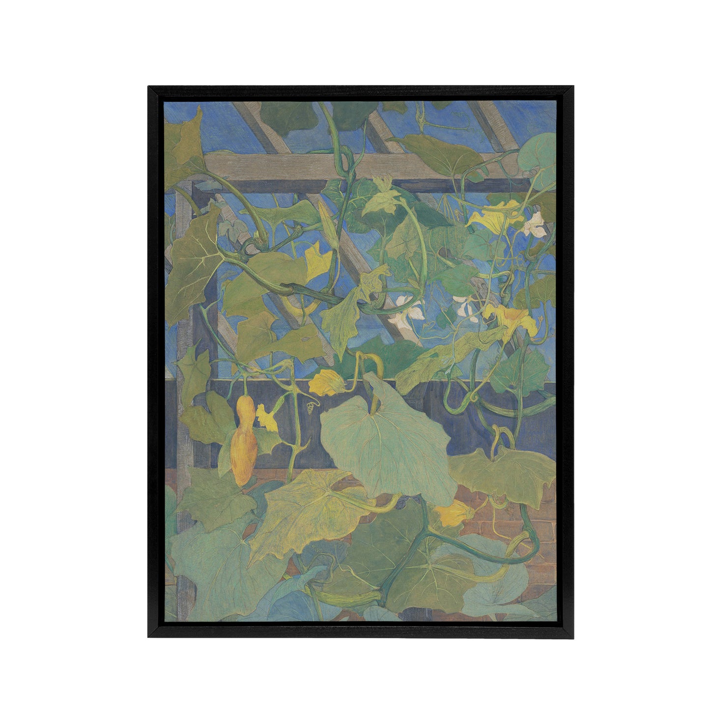 Greenhouse Ornamental Gourds Framed Canvas Wall Art Print van Hoytema