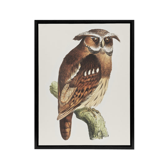 Eagle Owl Perched on a Branch Framed Canvas Wall Art Print van Hoytema
