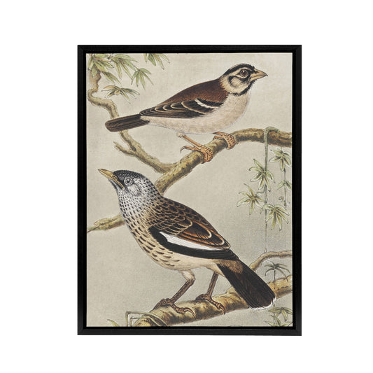 Two Birds on Tree Branches Framed Canvas Wall Art Print van Hoytema