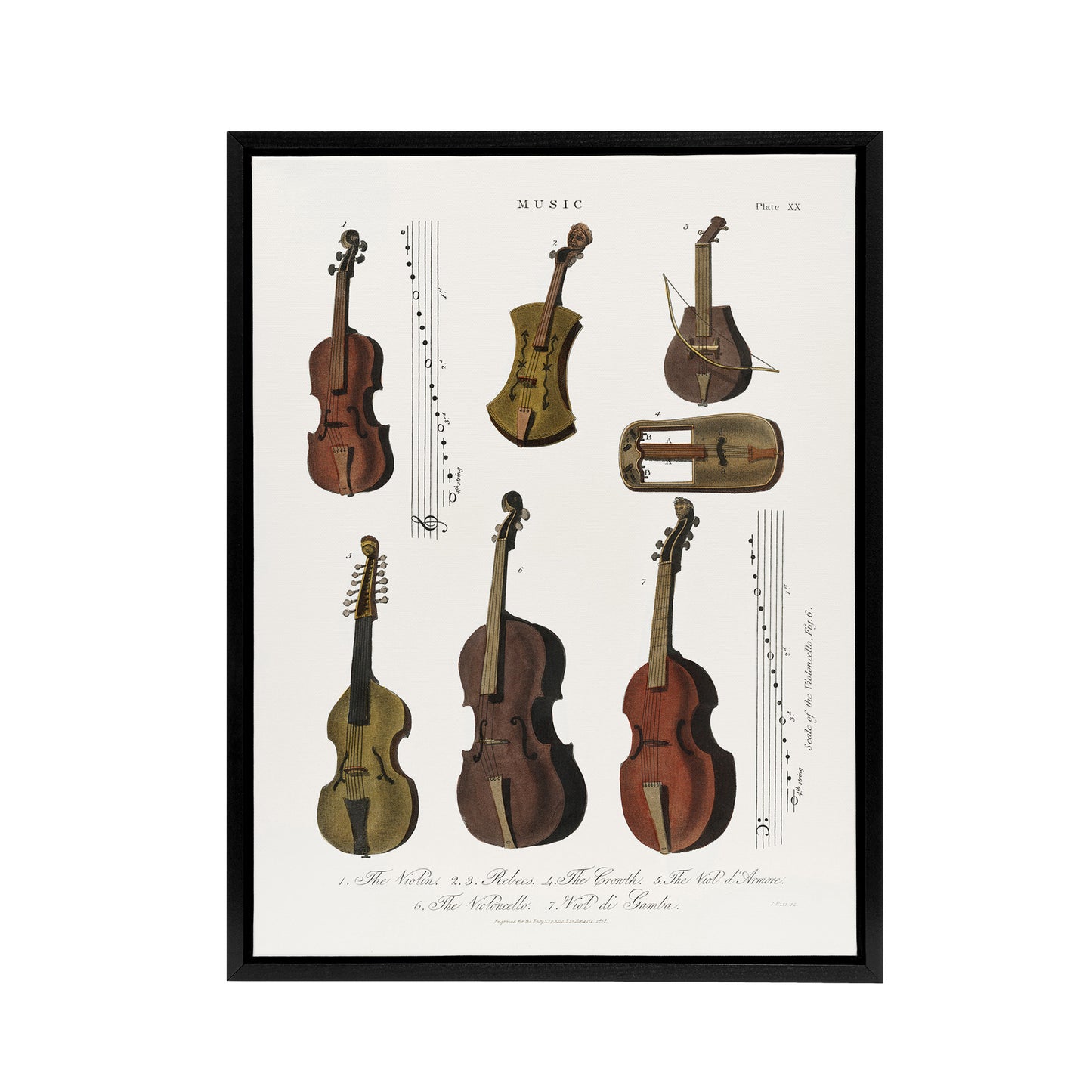 Violin Viola Cello Encyclopedia Londinensis Black Framed Canvas Wall Art