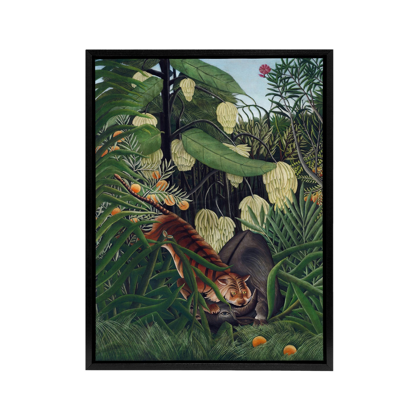 Fight between a Tiger and a Buffalo Rousseau Black Framed Canvas Wall Art
