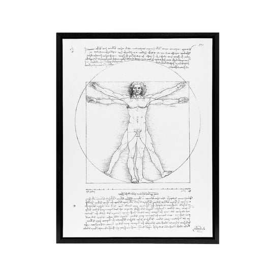 Vitruvian Man Black and White da Vinci Vintage Framed Canvas Wall Art