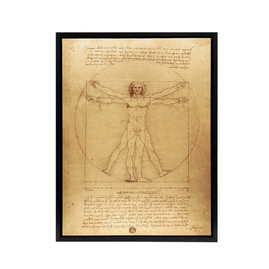 Vitruvian Man Drawing da Vinci Vintage Black Framed Canvas Wall Art